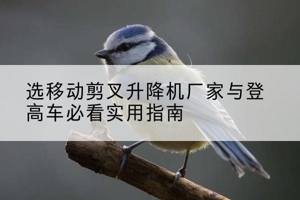 璧山区电动升降机厂家-选移动剪叉升降机厂家与登高车必看实用指南