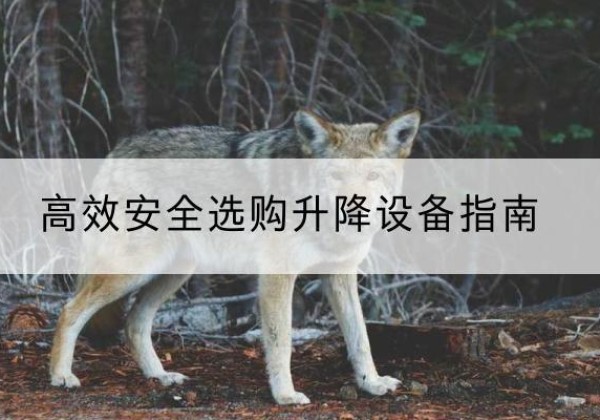 璧山区升降货梯厂家推荐-*安全选购升降设备指南
